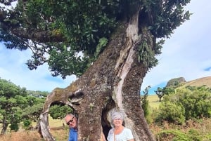 Funchal: Familientour auf der Insel Madeira