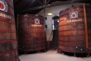 フンシャル：H.M.ワインの試飲付きボルヘス ワイナリーのガイド付きツアー