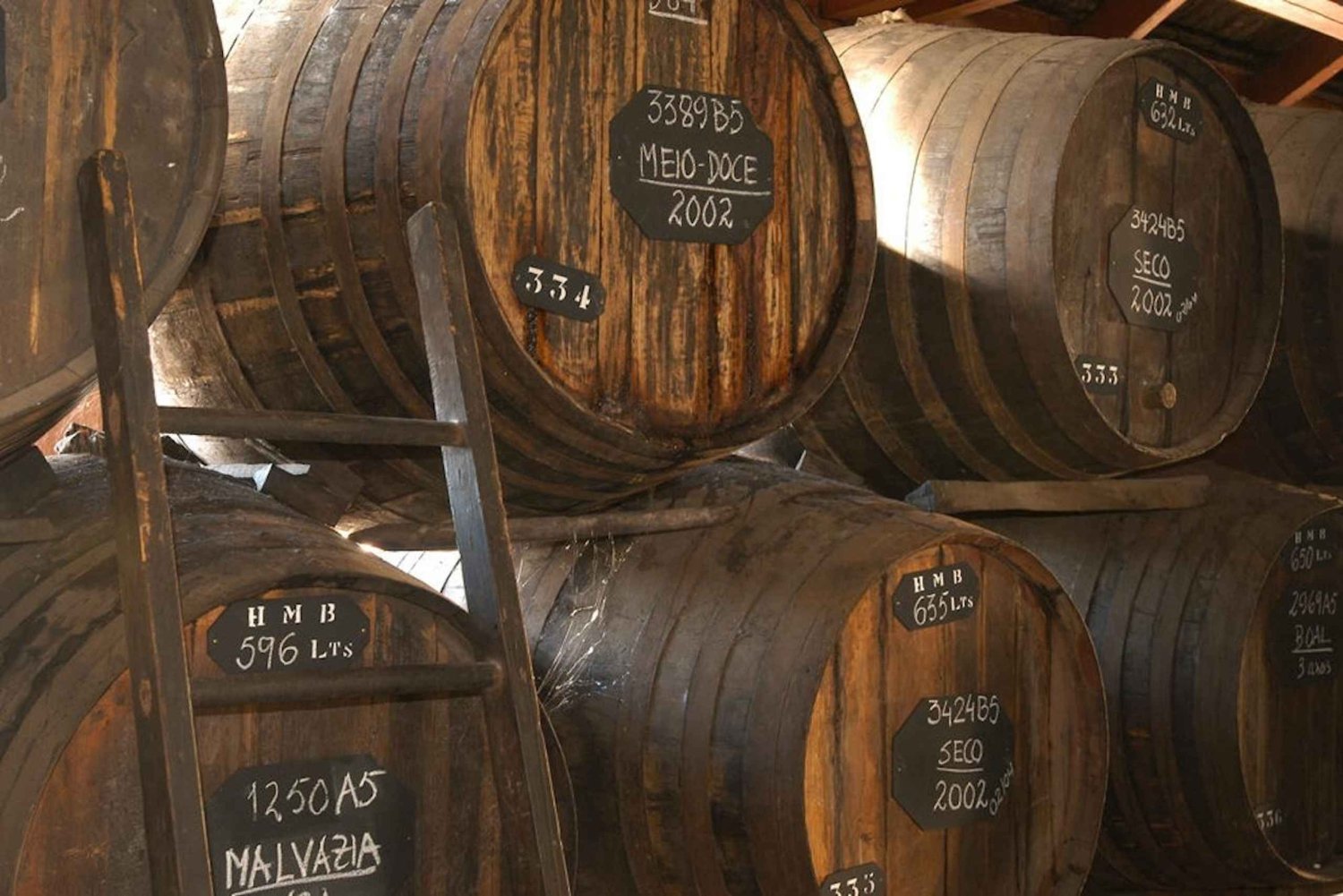 Funchal: H.M. Borges Winery Private Tour and Wine Tasting