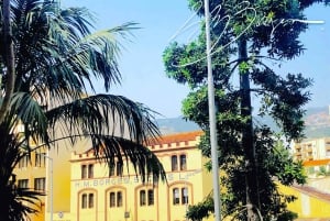 Funchal: H.M. Borges vingård privat tur och vinprovning