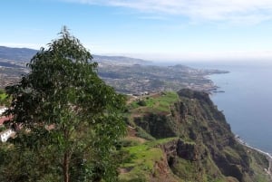 Funchal: Halvdags privat tur til Sør-Madeira-øya