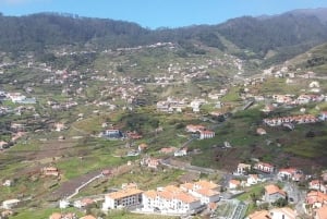 Funchal: Halvdags privat tur til Sør-Madeira-øya