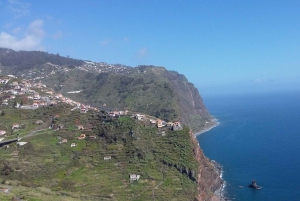 Funchal: Halvdags privat tur til Sør-Madeira-øya