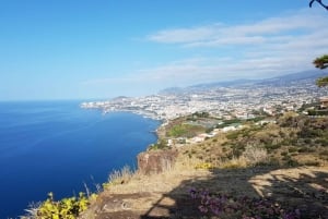 Funchal: Halvdags privat tur til Sør-Madeira-øya