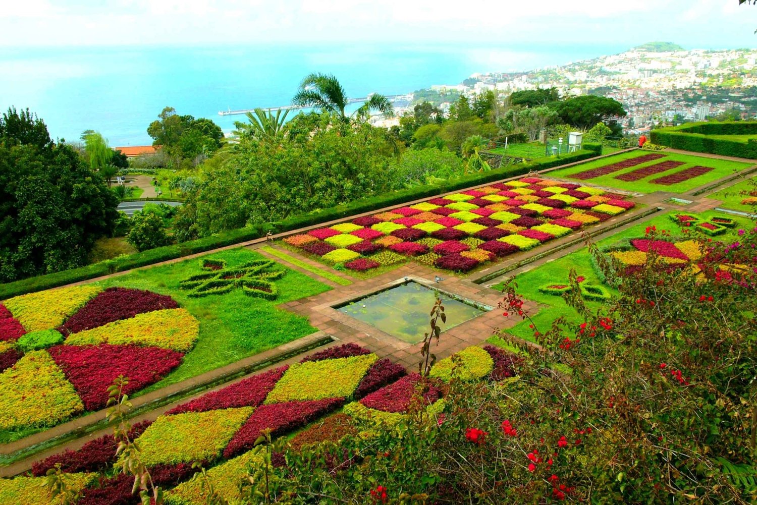 Funchal: Giardino botanico di Madeira Tour privato in Tuk-Tuk
