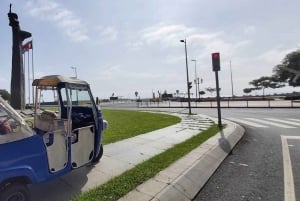 Funchal: Madeira Botaniske Have Privat Tuk-Tuk-tur