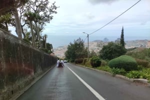 Funchal: Monte ja vanhakaupunkikierros Tuk-Tukilla