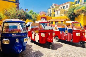 Funchal: Monte ja vanhakaupunkikierros Tuk-Tukilla