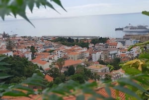 Funchal: Monte ja vanhakaupunkikierros Tuk-Tukilla