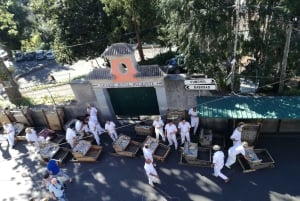 Funchal: Monte ja vanhakaupunkikierros Tuk-Tukilla