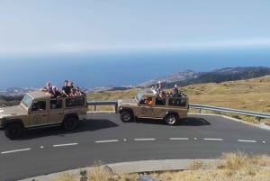 Funchal : Pico Arieiro, Cristo Rei et observation des dauphins