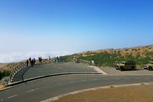 Funchal : Pico Arieiro, Cristo Rei et observation des dauphins