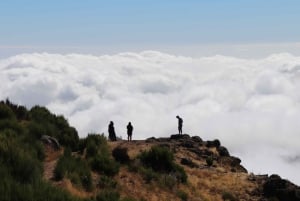 Funchal : Pico Arieiro, Cristo Rei et observation des dauphins