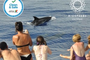 Funchal : Pico Arieiro, Cristo Rei et observation des dauphins