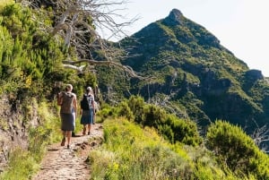 Funchal: Pico do Arieiro Zonsopgang Transfer Zelf begeleide wandeling