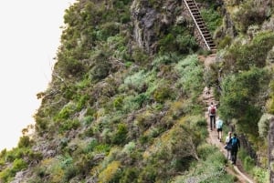 Funchal: Pico do Arieiro Zonsopgang Transfer Zelf begeleide wandeling