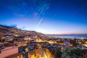 Funchal: Tour particular personalizado com um guia local