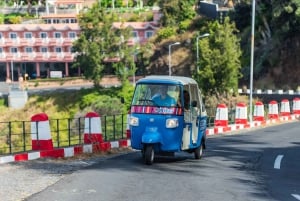 Funchal: Private Customizable Guided Tour by Tuk-Tuk