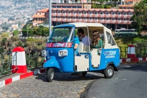 Funchal: Private Customizable Guided Tour by Tuk-Tuk
