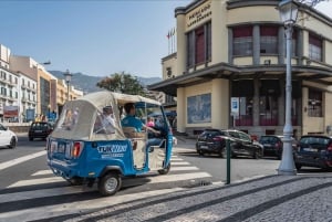 Funchal: Private Customizable Guided Tour by Tuk-Tuk