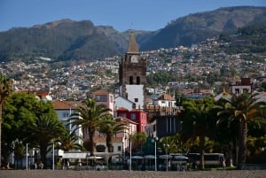 Funchal: Private Customizable Guided Tour by Tuk-Tuk