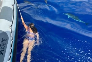 Funchal: RIB Whale-Watching-Bootsfahrt und optionales Delphinschwimmen