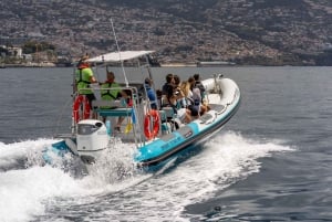 Funchal: Tramonto sull'acqua in barca RIB +opzione delfino/balena