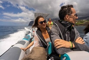 Funchal: Tramonto sull'acqua in barca RIB +opzione delfino/balena