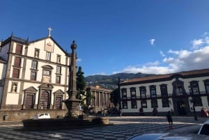 Funchal: tour guidato a piedi con guida locale e degustazioni