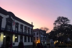 Funchal: tour guidato a piedi con guida locale e degustazioni