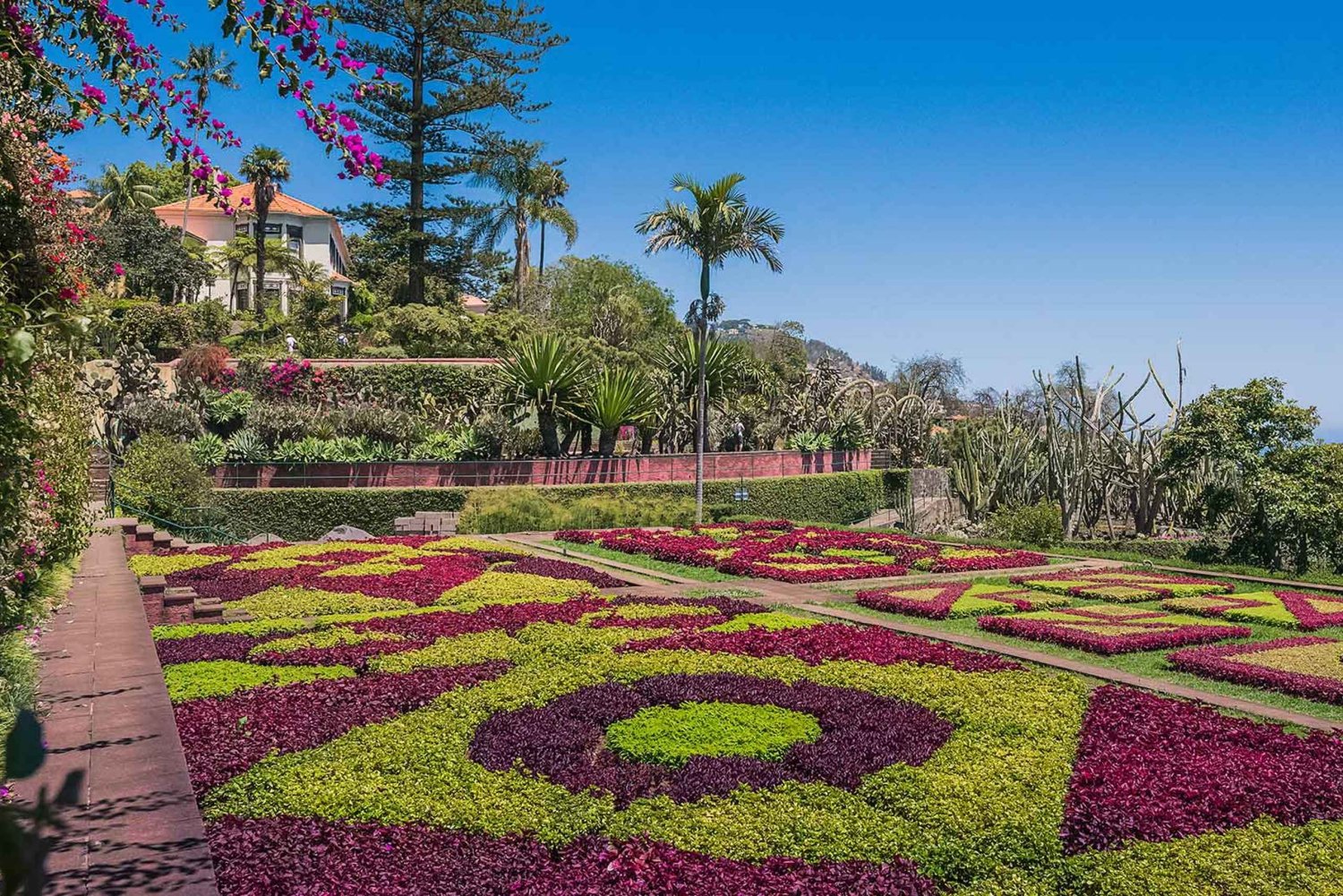 Guidet Tuk-Tuk tur til Botanisk Have (fra Funchal)