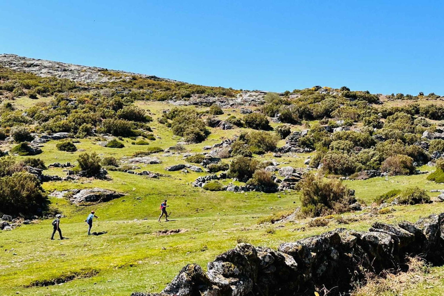 Guided Walk & Picnic Peneda Gerês National Park