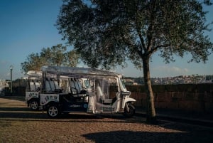 Excursão de meio dia de tuk tuk pelo Porto: Clérigos, orla marítima e miradouros