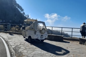 High West Van Rondleiding Madeira (vanuit Funchal)