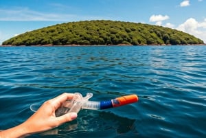 Ilha das Aranhas: Boat Tour with Barbecue
