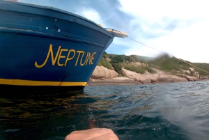 Ilha das Aranhas: Boat Tour with Barbecue