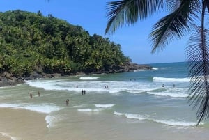 Itacare: Sendero de las 4 Playas y Cascada de Tijuipe