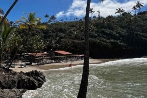 Itacare: Sendero de las 4 Playas y Cascada de Tijuipe