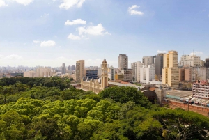 São Paulo: Jüdische Geschichte in der Innenstadt Private Tour