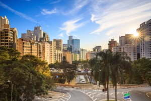 São Paulo: Jüdische Geschichte in der Innenstadt Private Tour