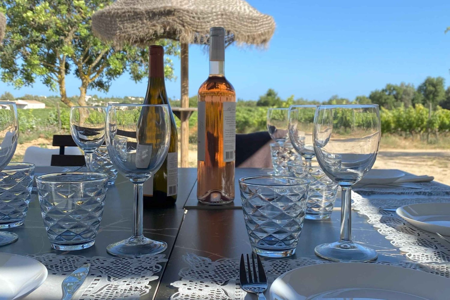 Lagos/Praia da Luz: Tour de vinhos, degustações, tapas e música