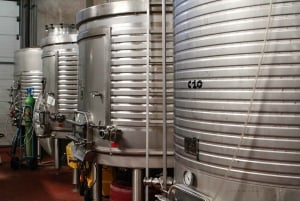 Lagos/Praia da Luz: Vintur, provsmakningar, tapas och musik