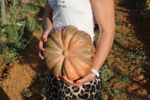Lagos/Praia da Luz: Vintur, provsmakningar, tapas och musik