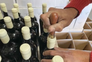 Lagos/Praia da Luz: Vintur, provsmakningar, tapas och musik