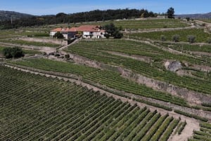 Lamego: Quinta da Portela de Baixo vingårdstur og smagning