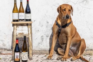 Lisbona: un viaggio attraverso il Portogallo By the Glass