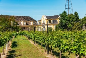 Lisbon: Arrábida and Sesimbra Day Trip with Wine
