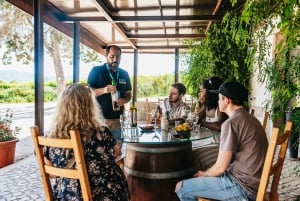 Lisbon: Arrábida and Sesimbra Day Trip with Wine