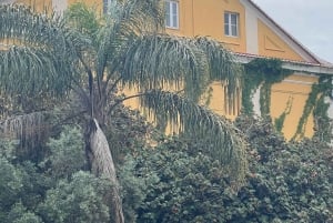 Lissabon: Byvandring i Belém med Pastel de Belém