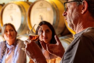 Лиссабон: экскурсия по виноградникам Каркавелуш и дегустация вин